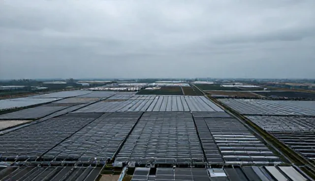 实施策略中的技术问题及处理方向